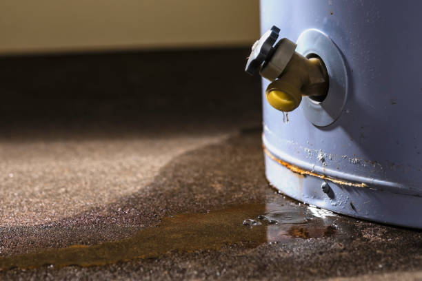 Water damage restoration mold remediation in Vaughn, WA