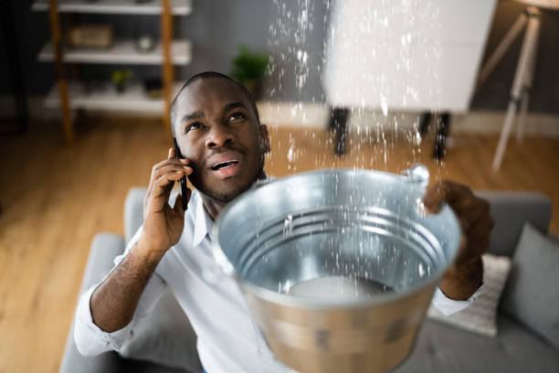 Best Flood restoration services  in Vaughn, WA