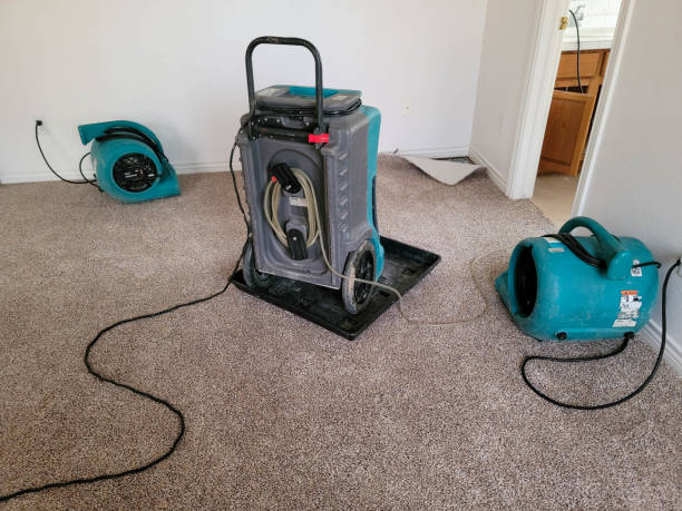 Best 24/7 water damage repair  in Vaughn, WA
