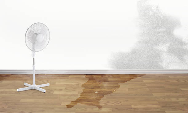Best Water damage contractors near me  in Vaughn, WA