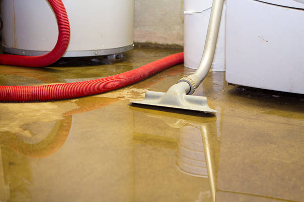 Best Water damage restoration specialists  in Vaughn, WA