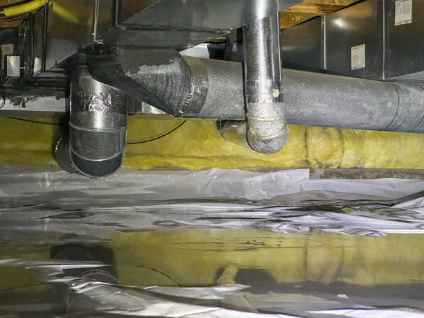 Best Basement water damage restoration  in Vaughn, WA